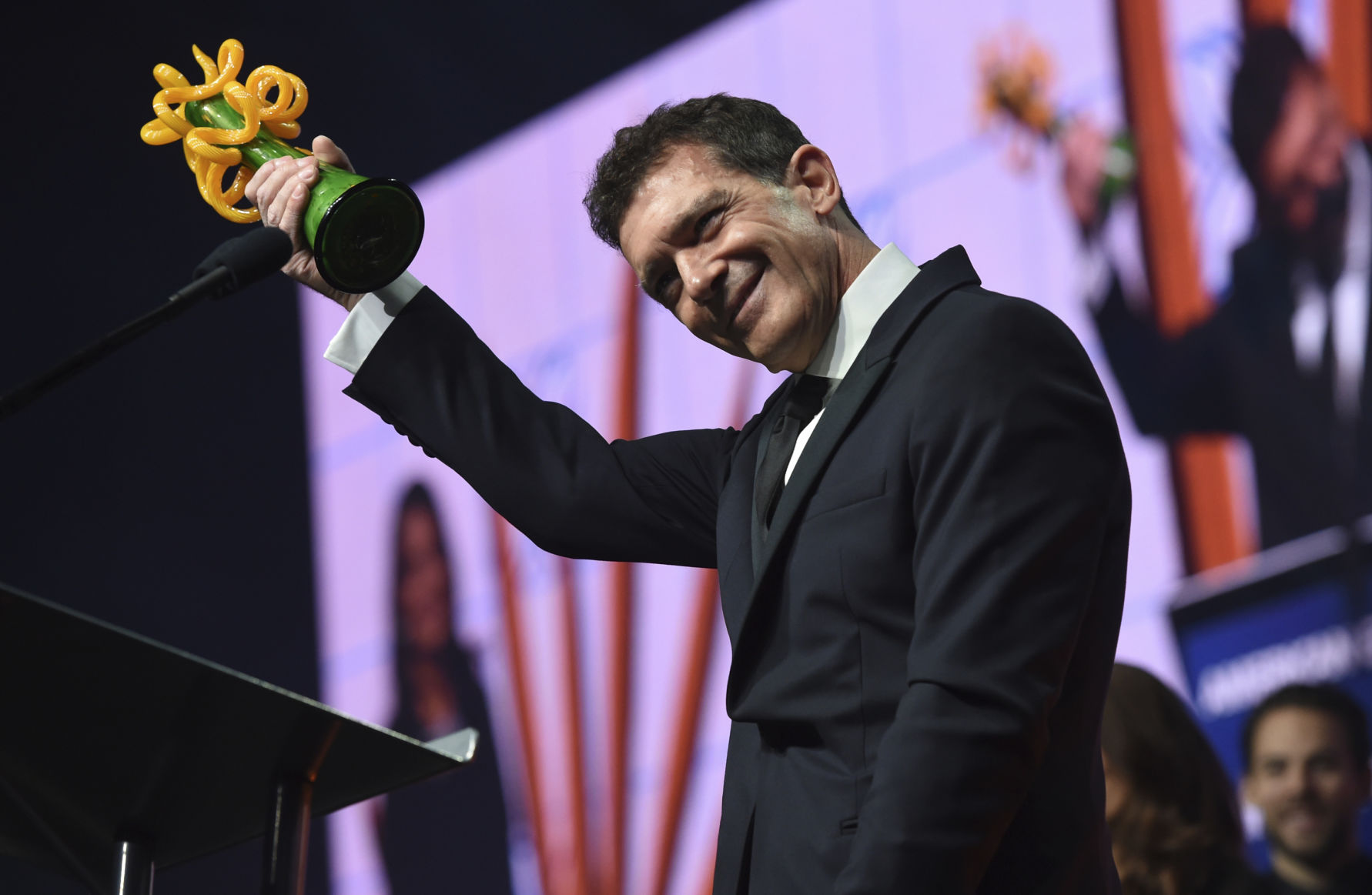 APTOPIX 31st Annual Palm Springs International Film Festival Awards Gala